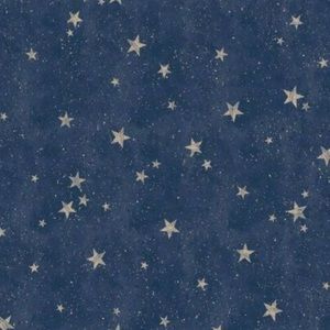 Meet your Posher, Joy